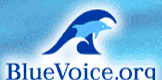 Blue Voice